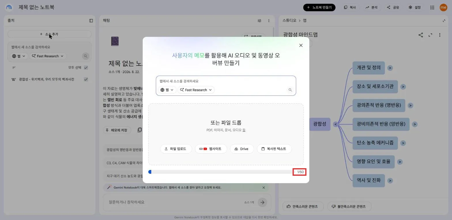 소스 한도 1/50 표시