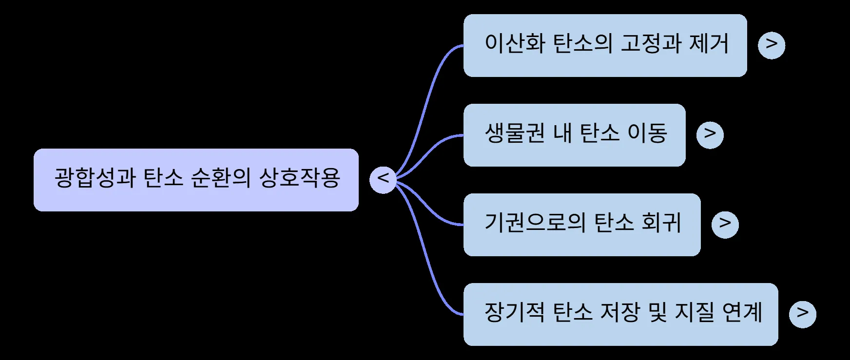 내보낸 PNG 파일